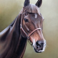 Horse 2 (pastel) 40 x 60cm